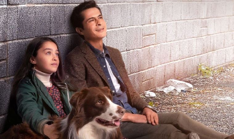 معرفی سریال ترکی جدید 2023 پرنسس بدون تاج