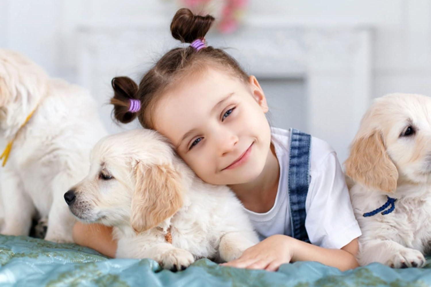 سگ برای کودکان